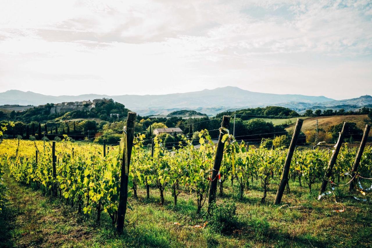 Podere Orto Wine Country House Trevinano Dış mekan fotoğraf