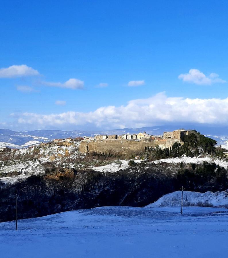 Podere Orto Wine Country House Trevinano Dış mekan fotoğraf