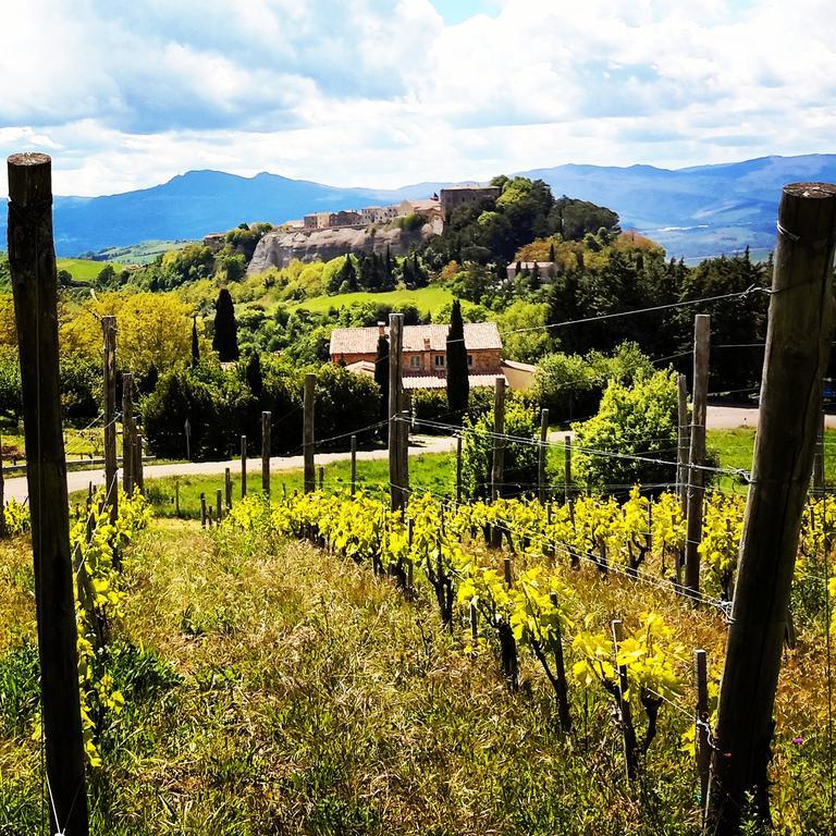Podere Orto Wine Country House Trevinano Dış mekan fotoğraf