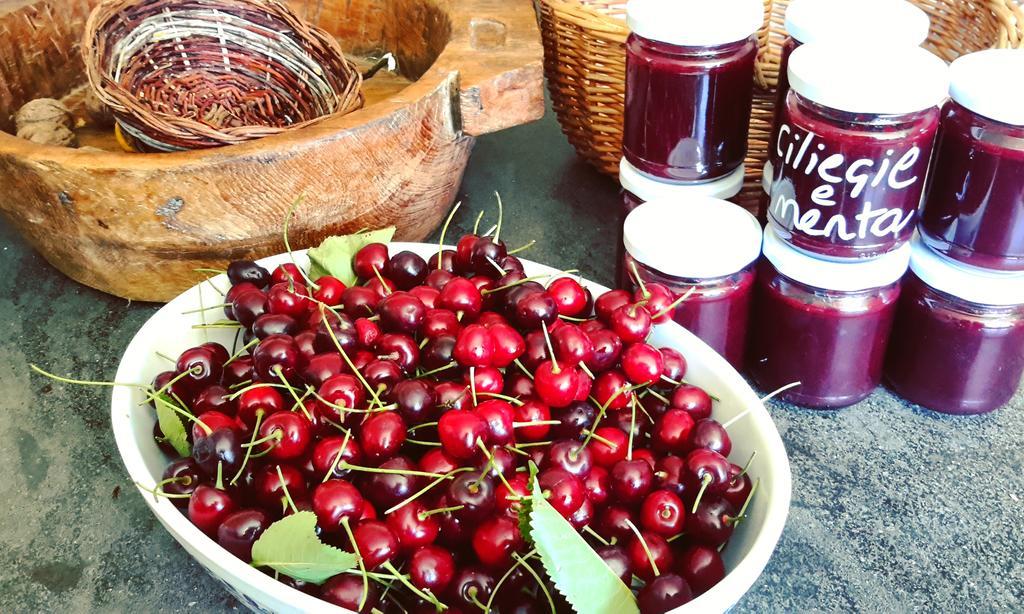 Podere Orto Wine Country House Trevinano Dış mekan fotoğraf