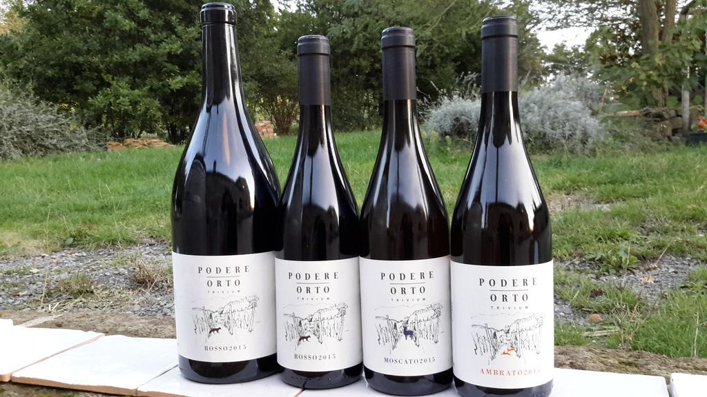 Podere Orto Wine Country House Trevinano Dış mekan fotoğraf